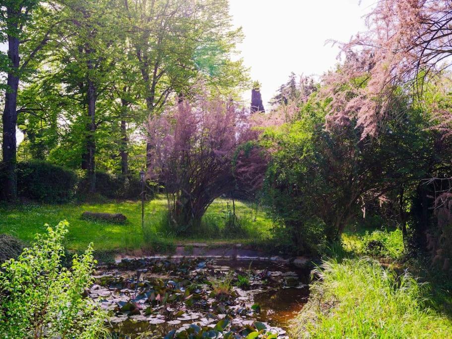 Grassina Villa Il Rossignolo المظهر الخارجي الصورة